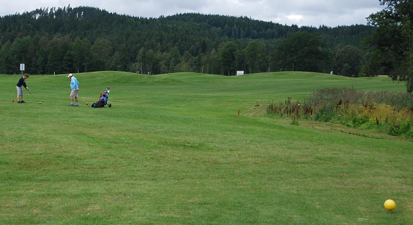 Ett par golfspelare är ute på en golfbana.