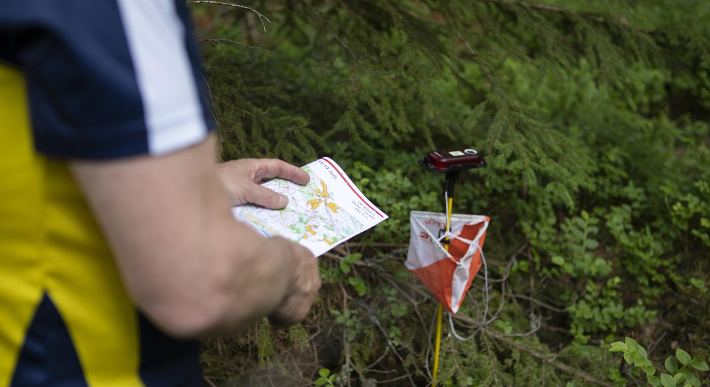 En orienterare står med en karta vid en kontroll i skogen