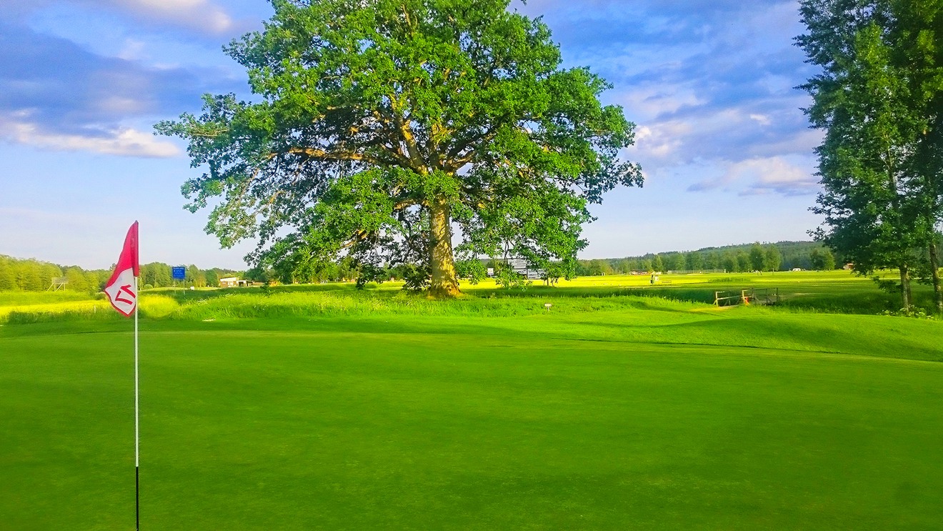 En grön och fin golfbana en fin sommardag.
