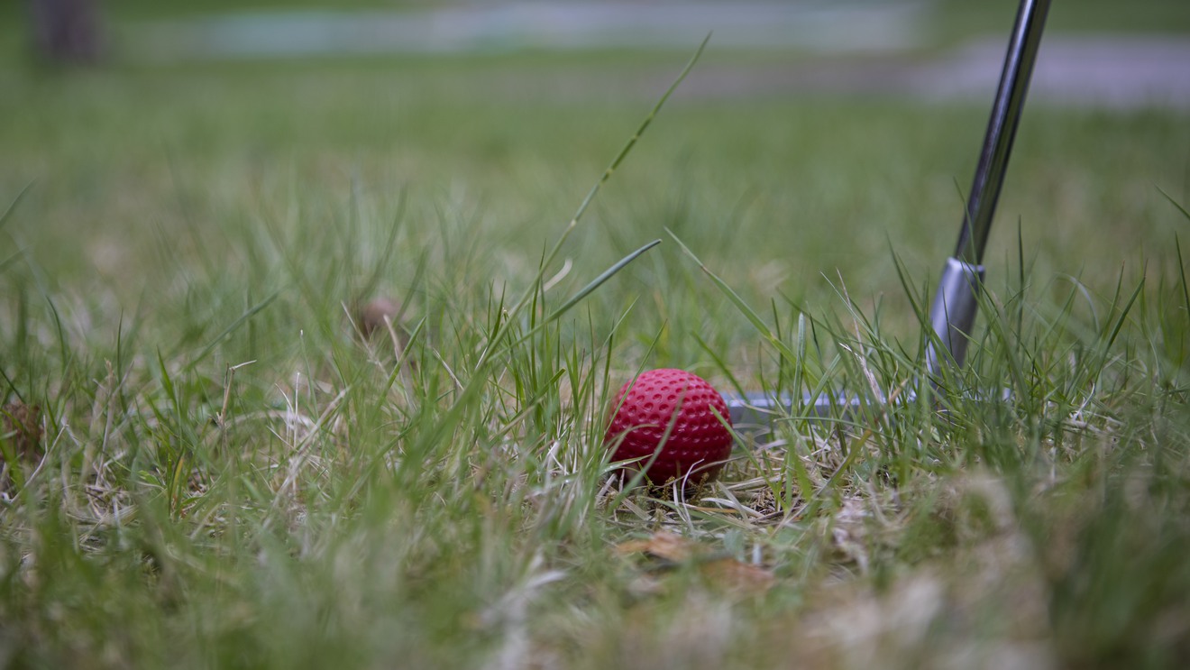 En golfboll och en minigolfklubba i gräset.