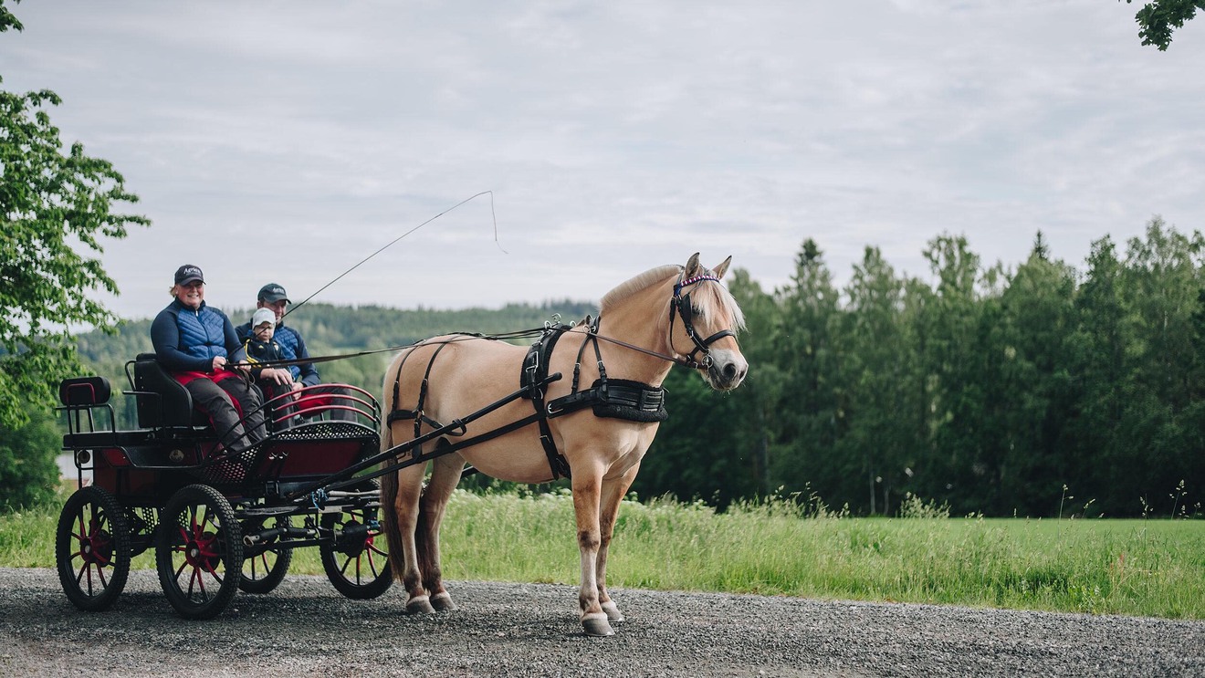 Två vuxna och ett barn sitter på en vagn bakom en häst.