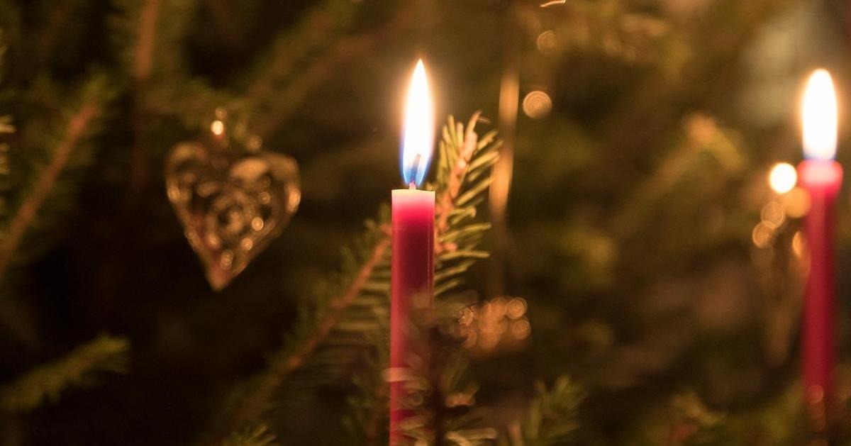 Röda ljus brinner i en grön julgran.