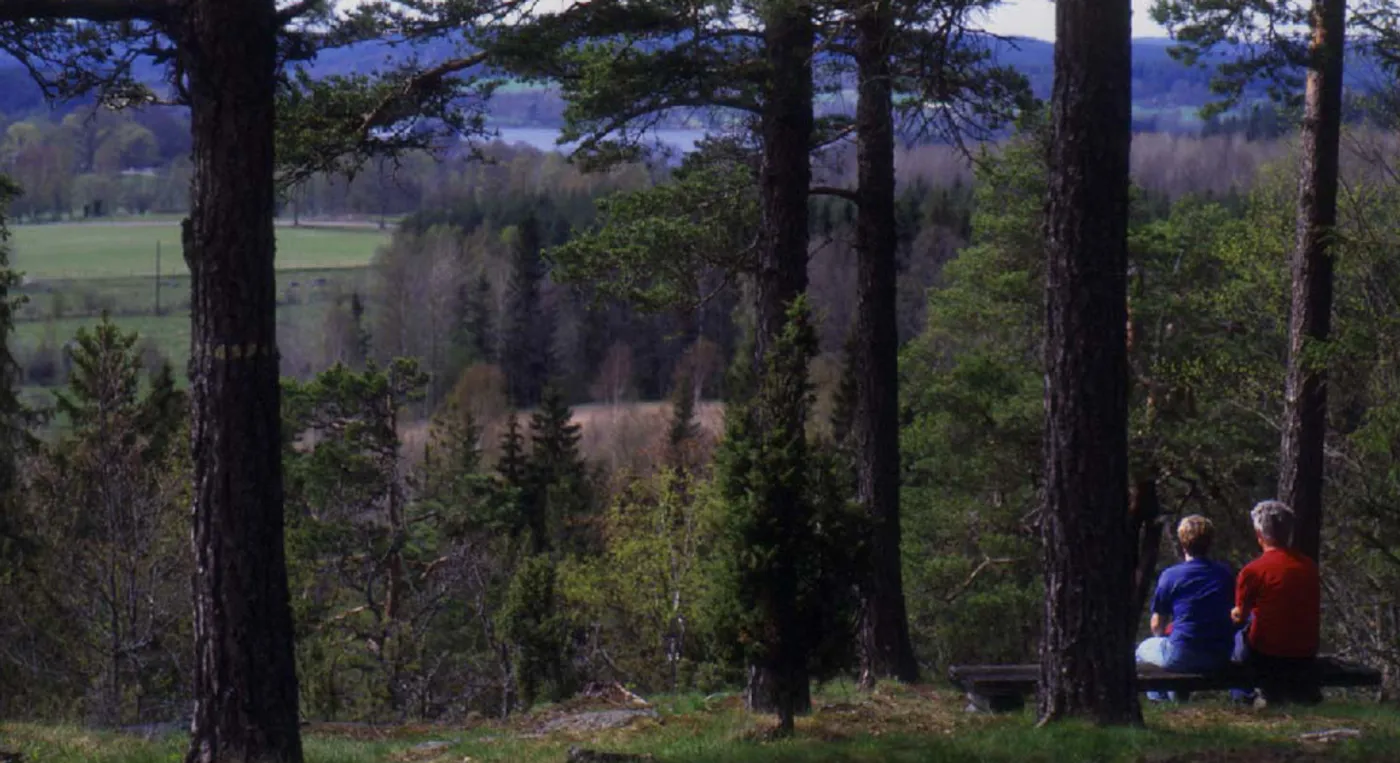 Två personer som sitter på en bänk i skogen.