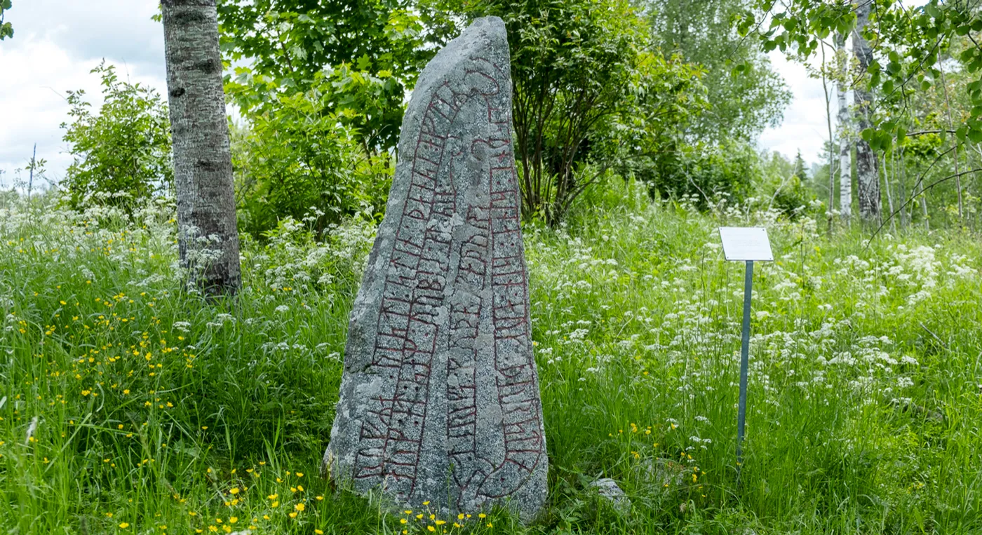 En runsten mitt i ett gräsfält.