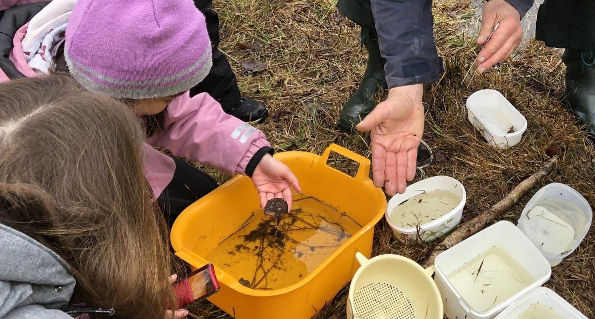 Om vi har tur håvar vi upp en groda!