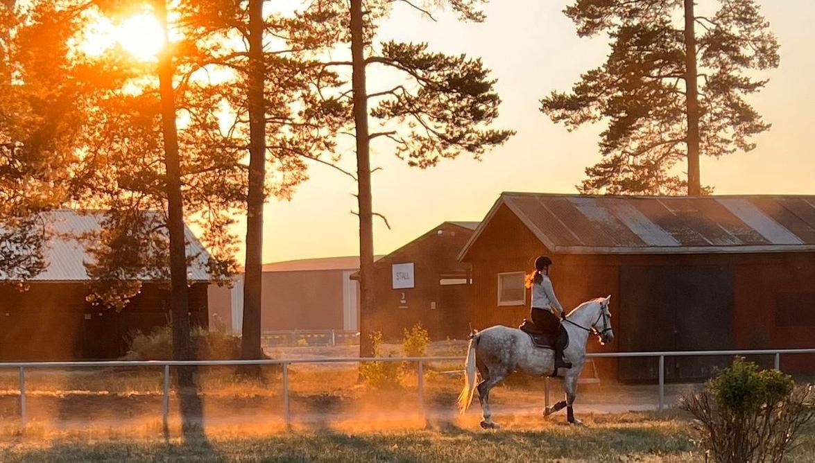 Foto: Anneli Carlsson. Skimmel i trav på VRFs gräsbana