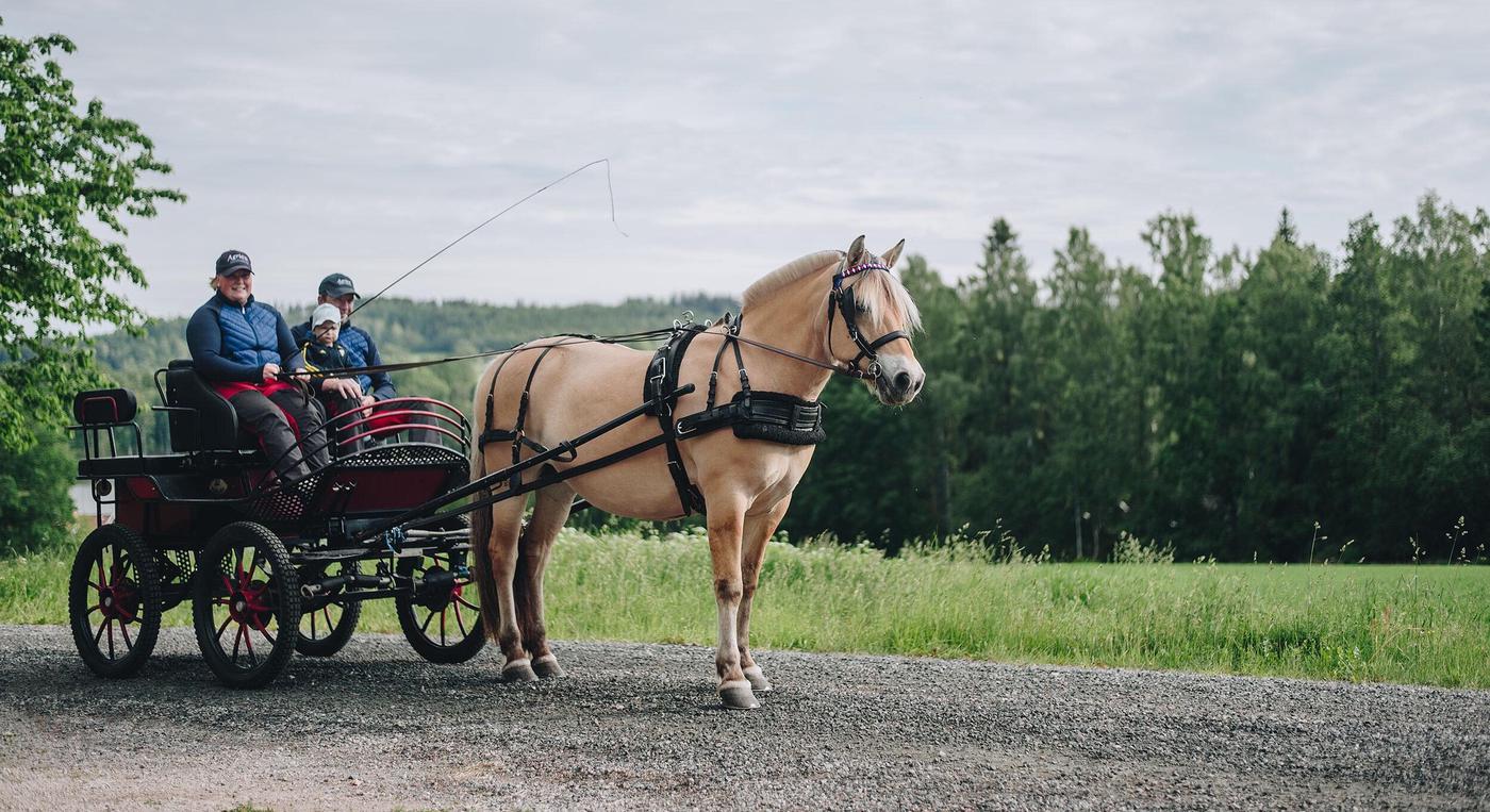 Ett sällskap sitter i en vagn bakom en häst