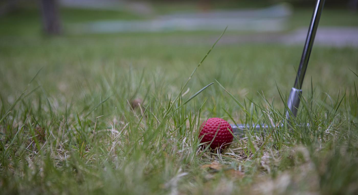 En golfboll ligger i gräset och bredvid syns en minigolfklubba.