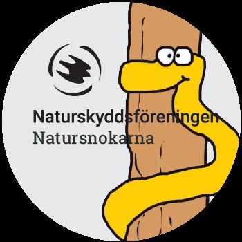 Natursnokarna är Naturskyddsföreningens verksamhet för barn