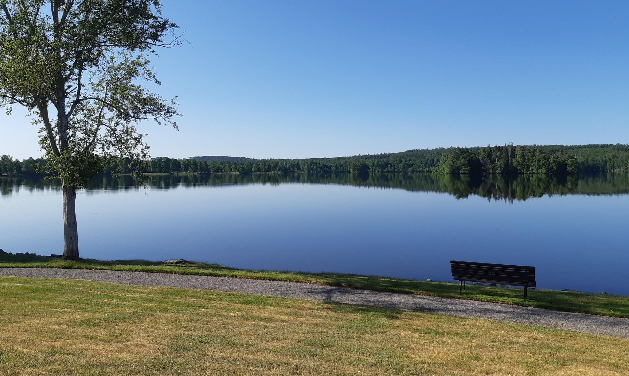 Ett ensamt träd och en bänk på kyrkogården, som slutar invid vattnet. Vattnet ligger spegelblankt och skogen speglar sig i sjön.