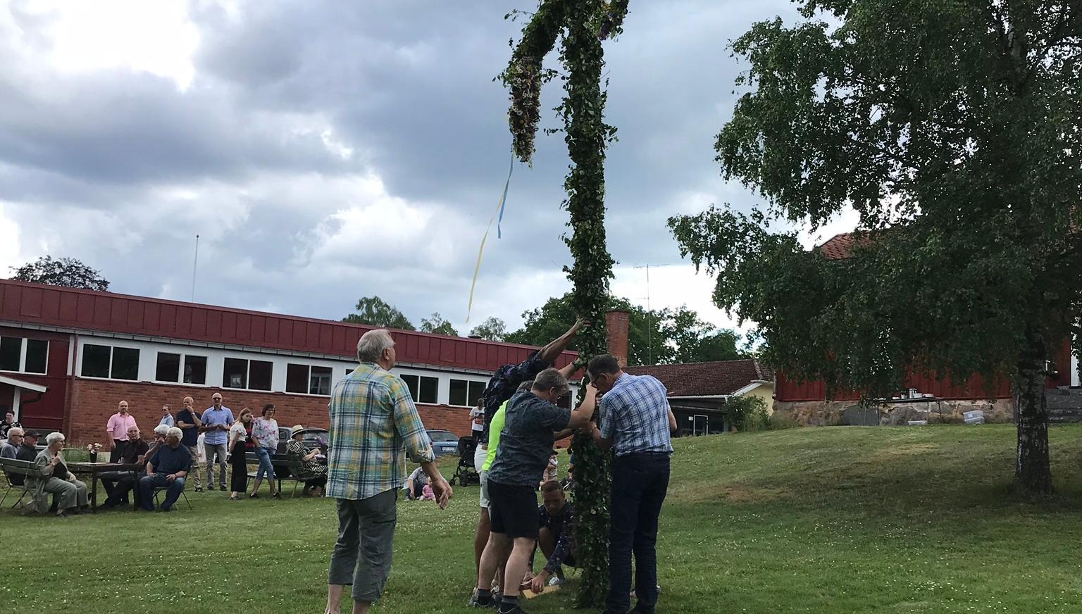 Resning av midsommarstången