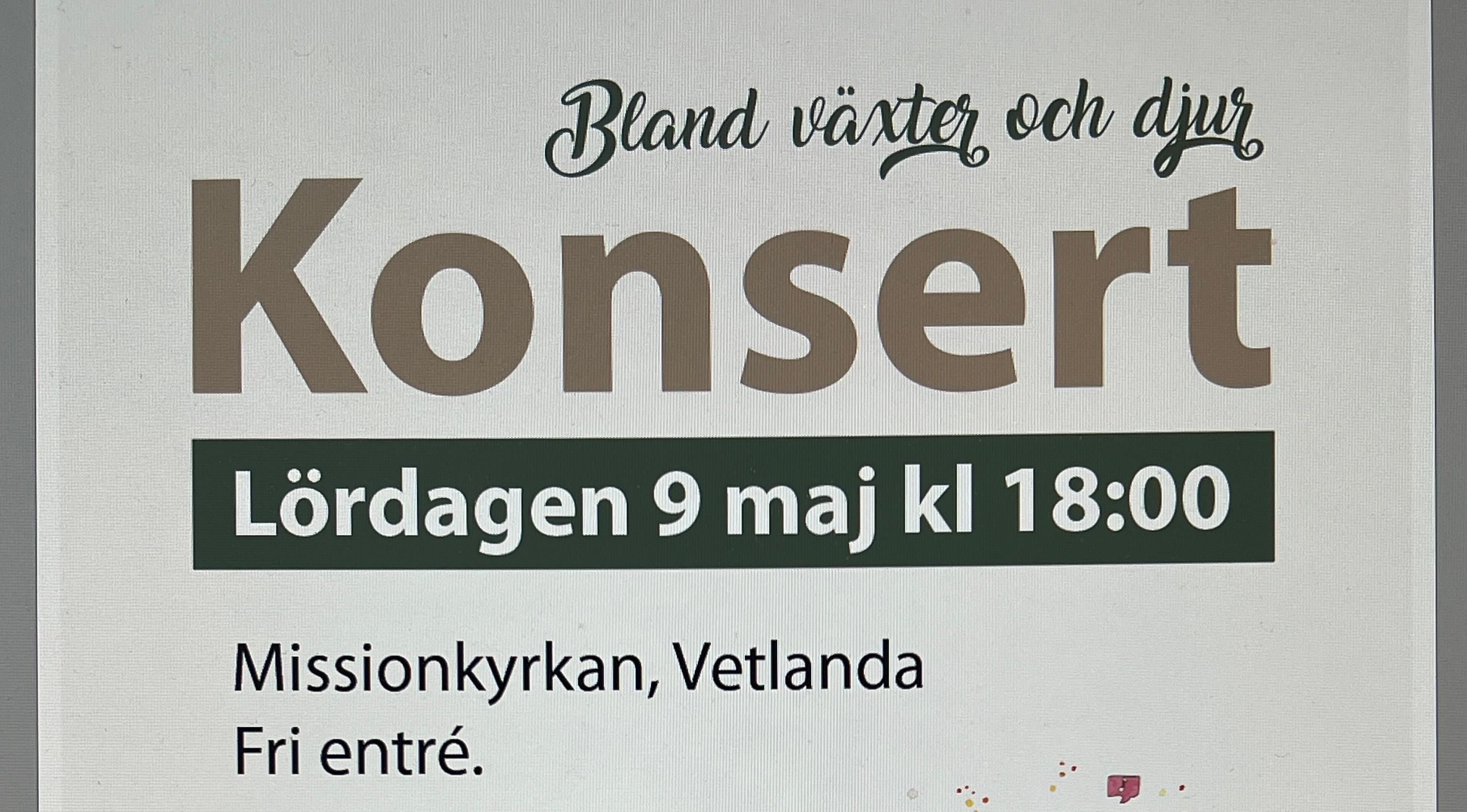 Konsert 9 maj med Vox Magica i Missionskyrkan, Vetlanda.