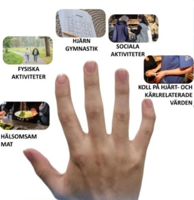 En hand med utsträckta fingar med fem områden