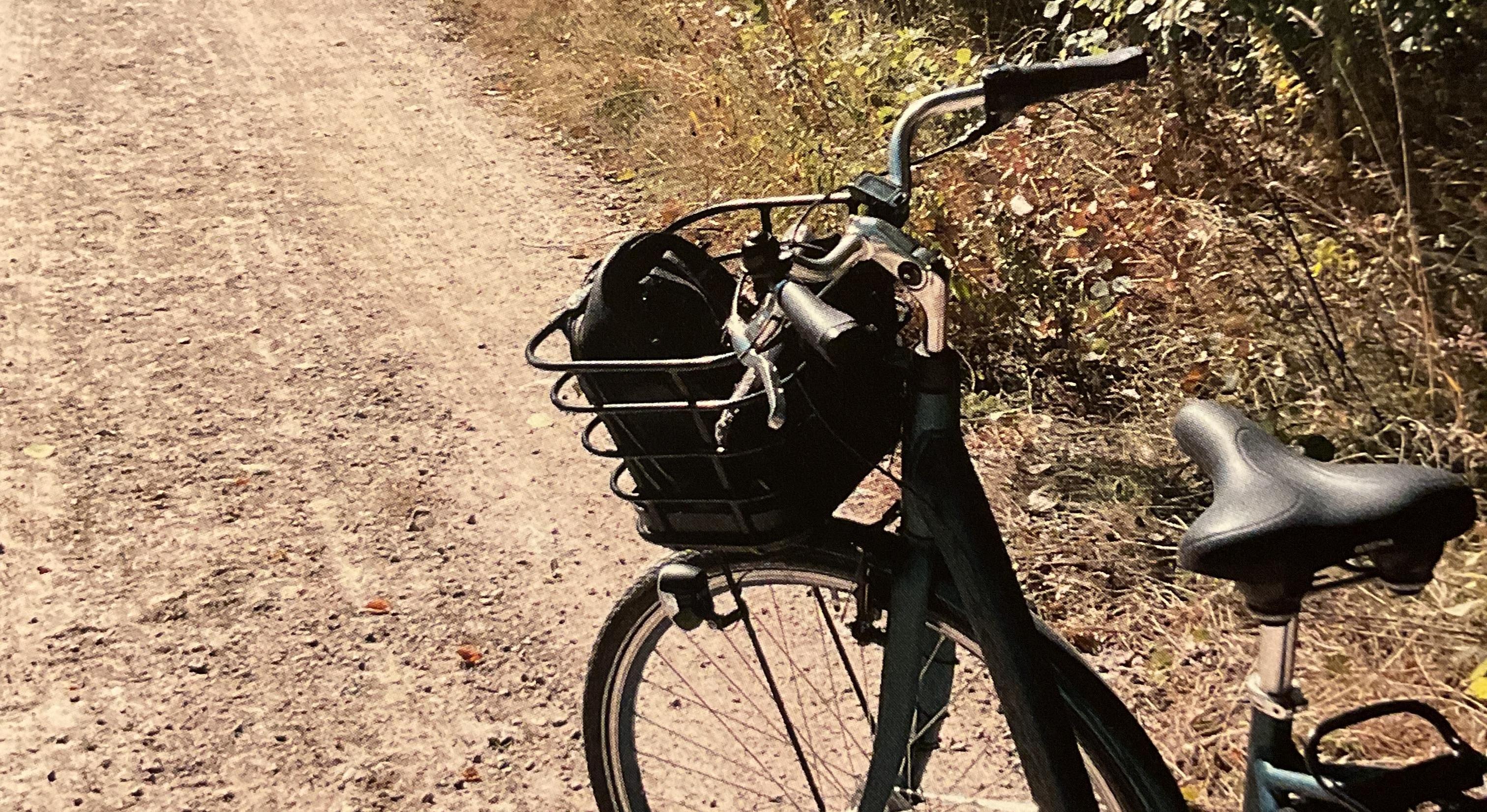 Cykeltur på skogsväg