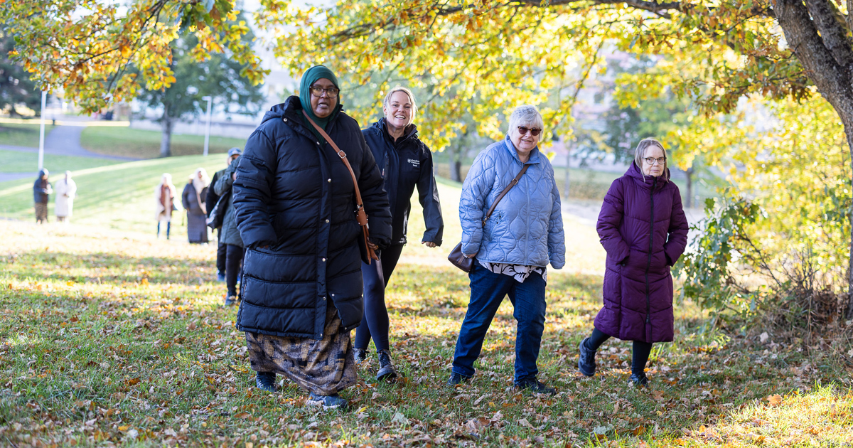 En grupp människor som promenerar genom en park.