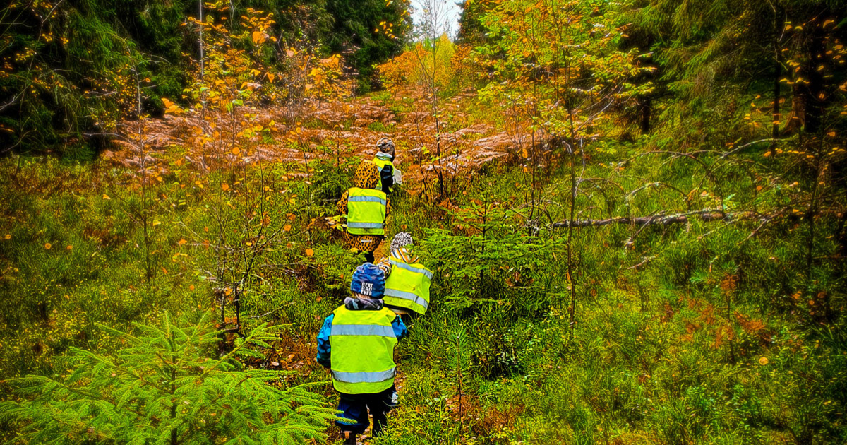 Barn med reflexvästar på promenad i skogen.