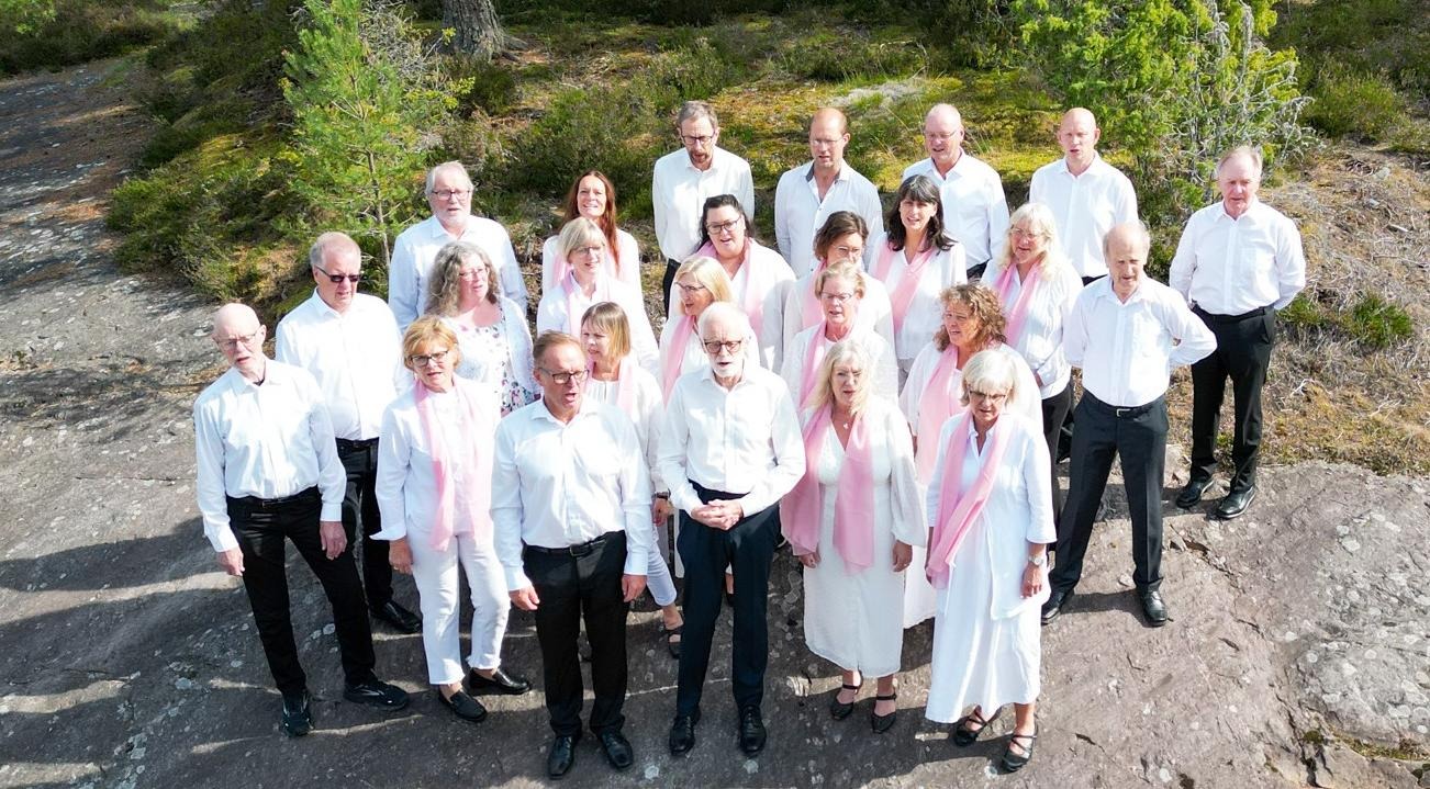 Flygfoto av Vetlanda Madrigalkör som står på ett häll och sjunga