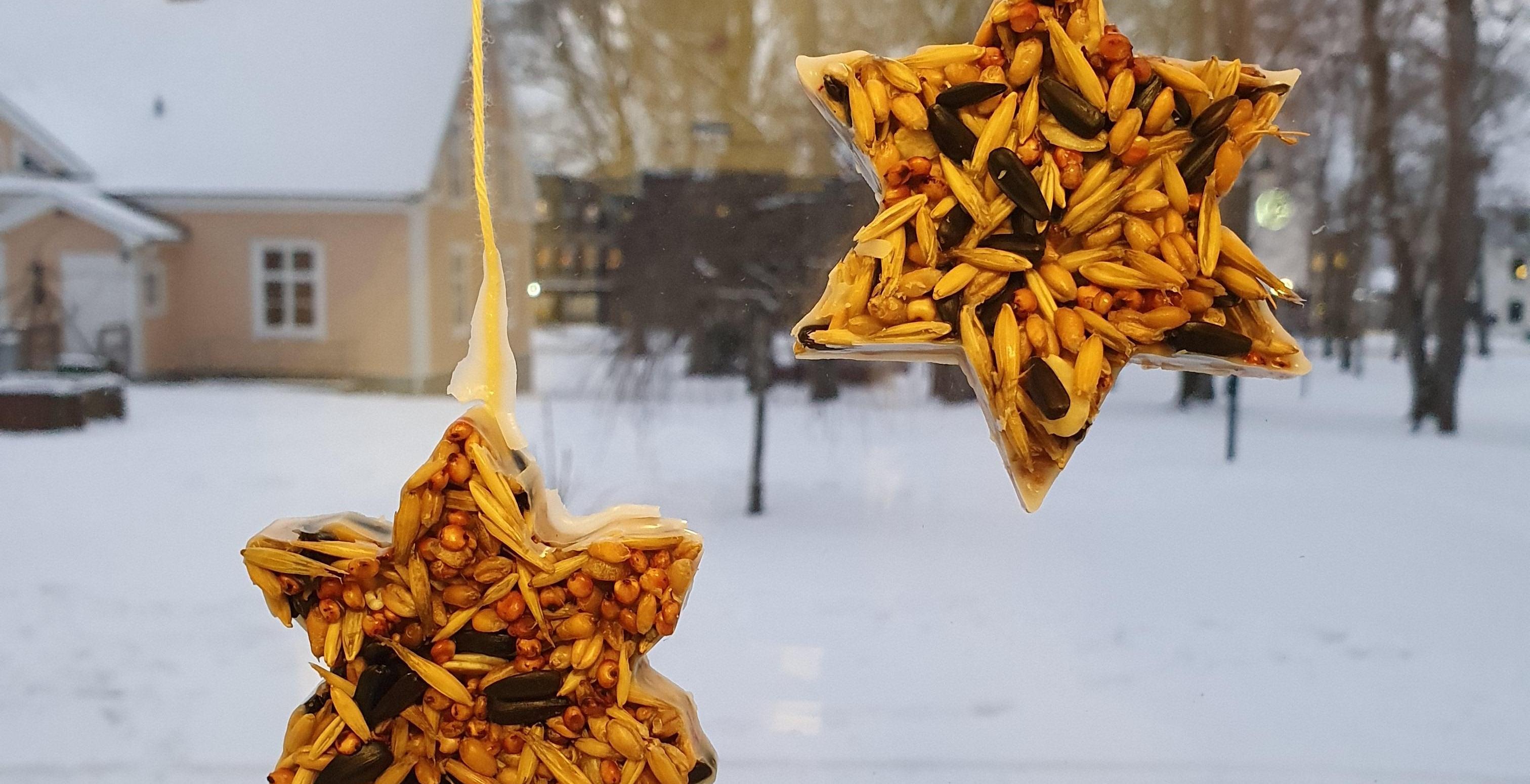 Hängande fågelmat i form av stjärnor