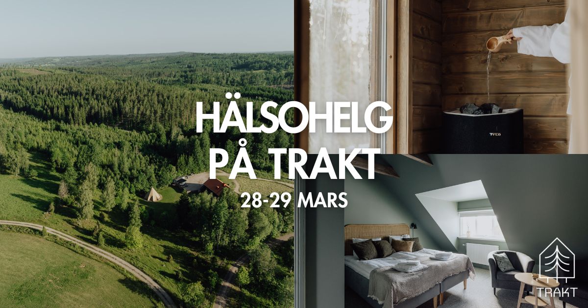 en överblicksbild över restaurangen, en bastu och ett hotellrum