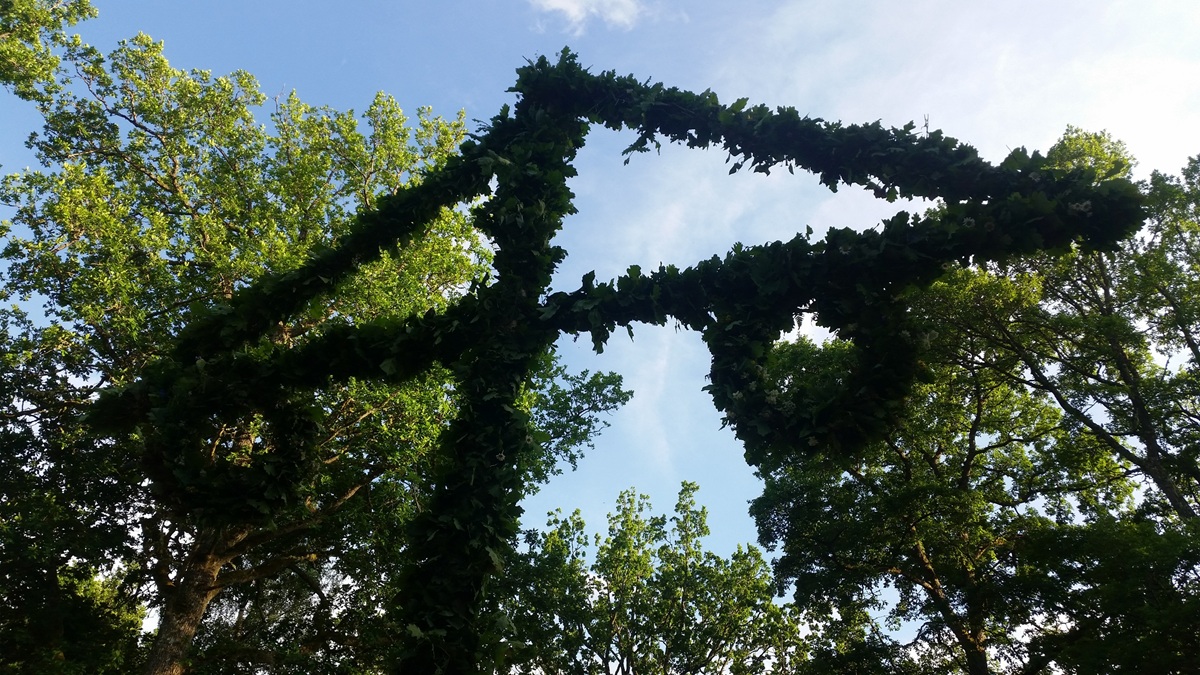En klädd midsommarstång mot bakgrund av stora lövträd och en klar sommarhimmel